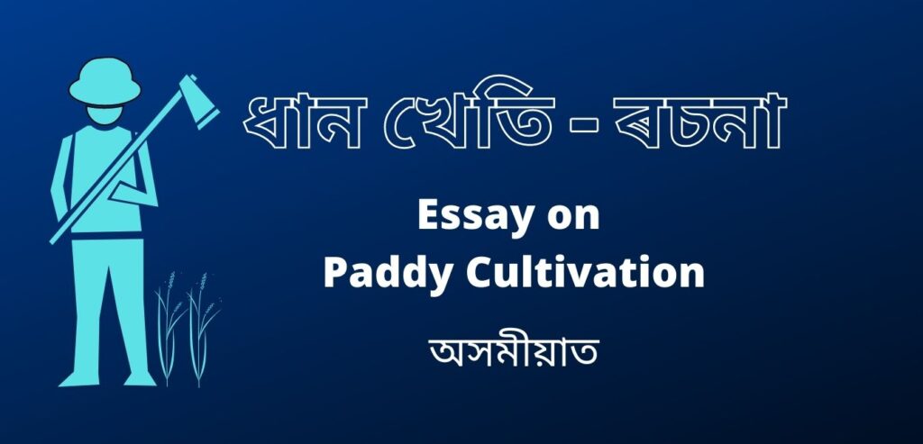 ধান খেতি ৰচনা | Essay on Paddy Cultivation in Assam in Assamese