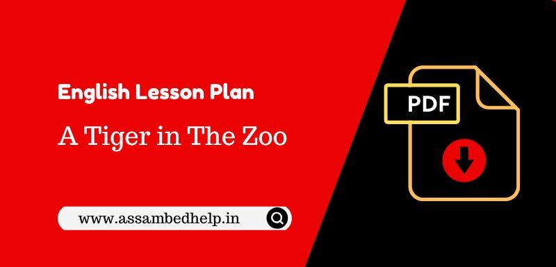 A Tiger in The Zoo English Lesson Plan PDF Download for B.Ed.