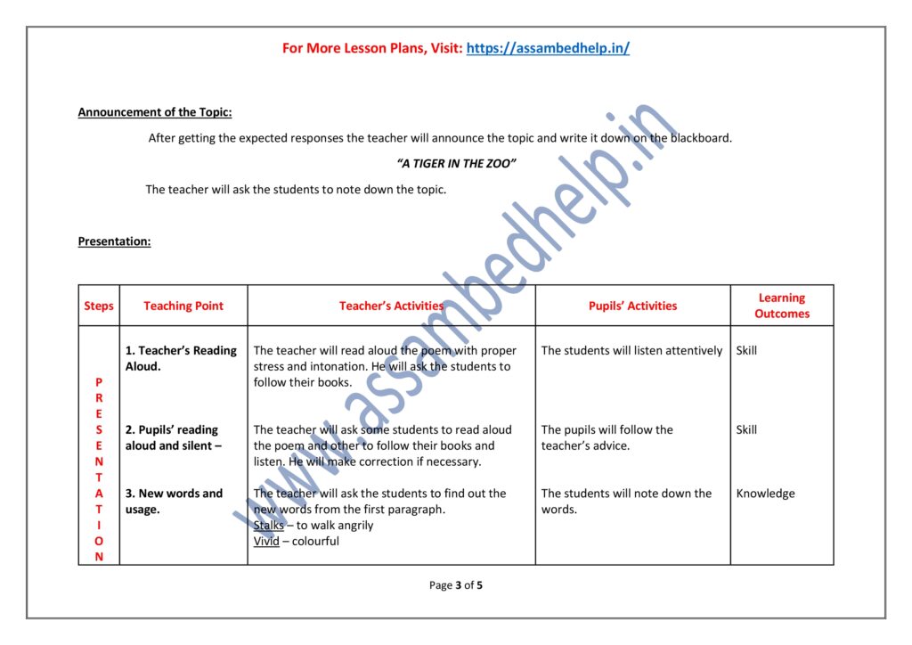 A Tiger in The Zoo English Lesson Plan PDF